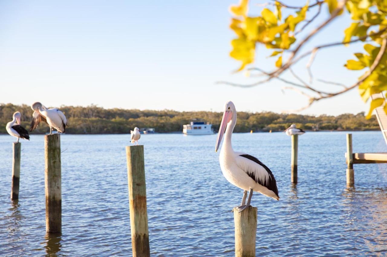The Islander Noosa Resort Noosaville Bagian luar foto